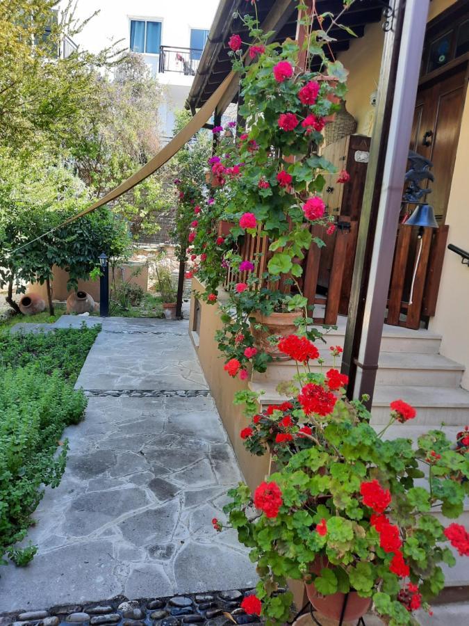 Vasilion Agrotourism Villa Polis Eksteriør bilde