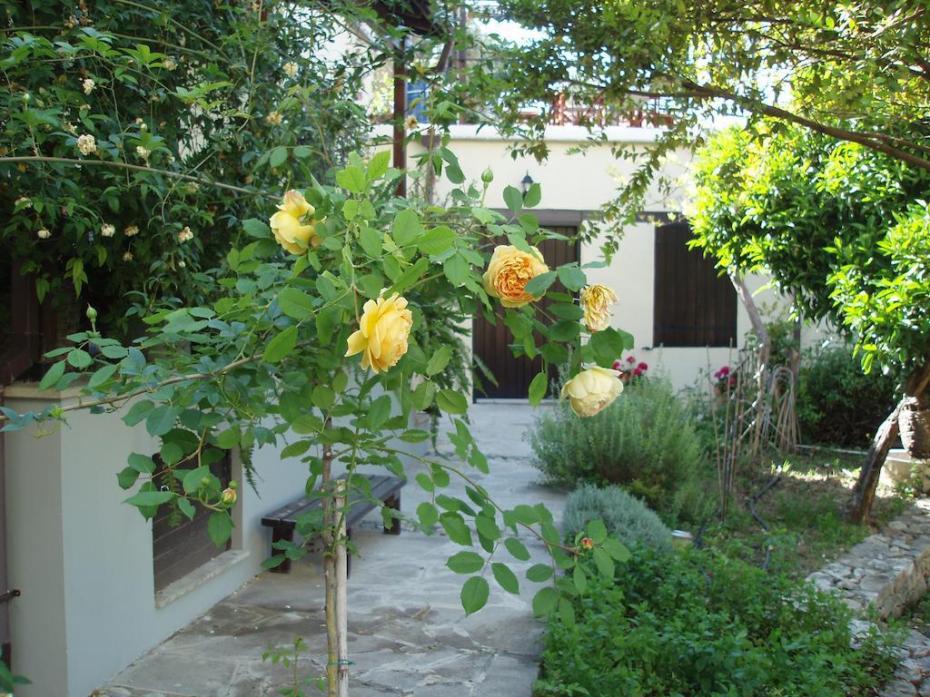 Vasilion Agrotourism Villa Polis Rom bilde