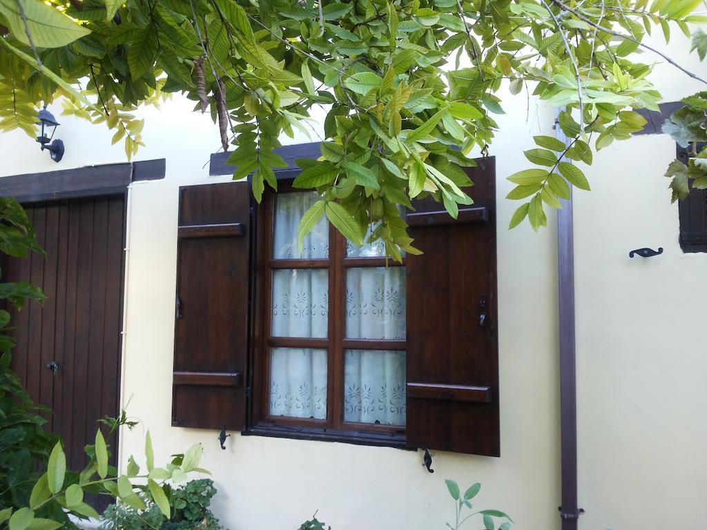 Vasilion Agrotourism Villa Polis Rom bilde