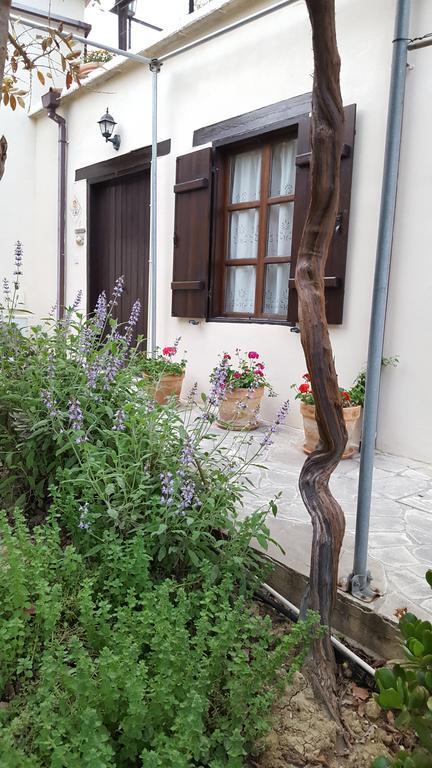 Vasilion Agrotourism Villa Polis Eksteriør bilde